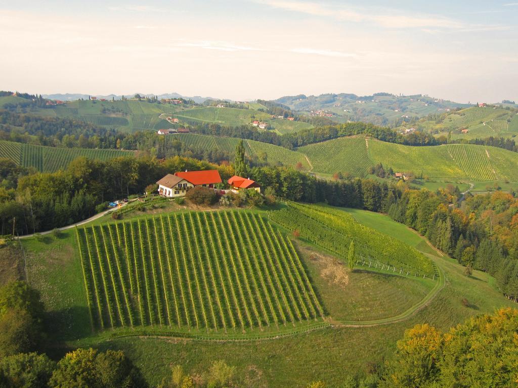 Weingut- Gaestezimmer Marko Leutschach Ngoại thất bức ảnh