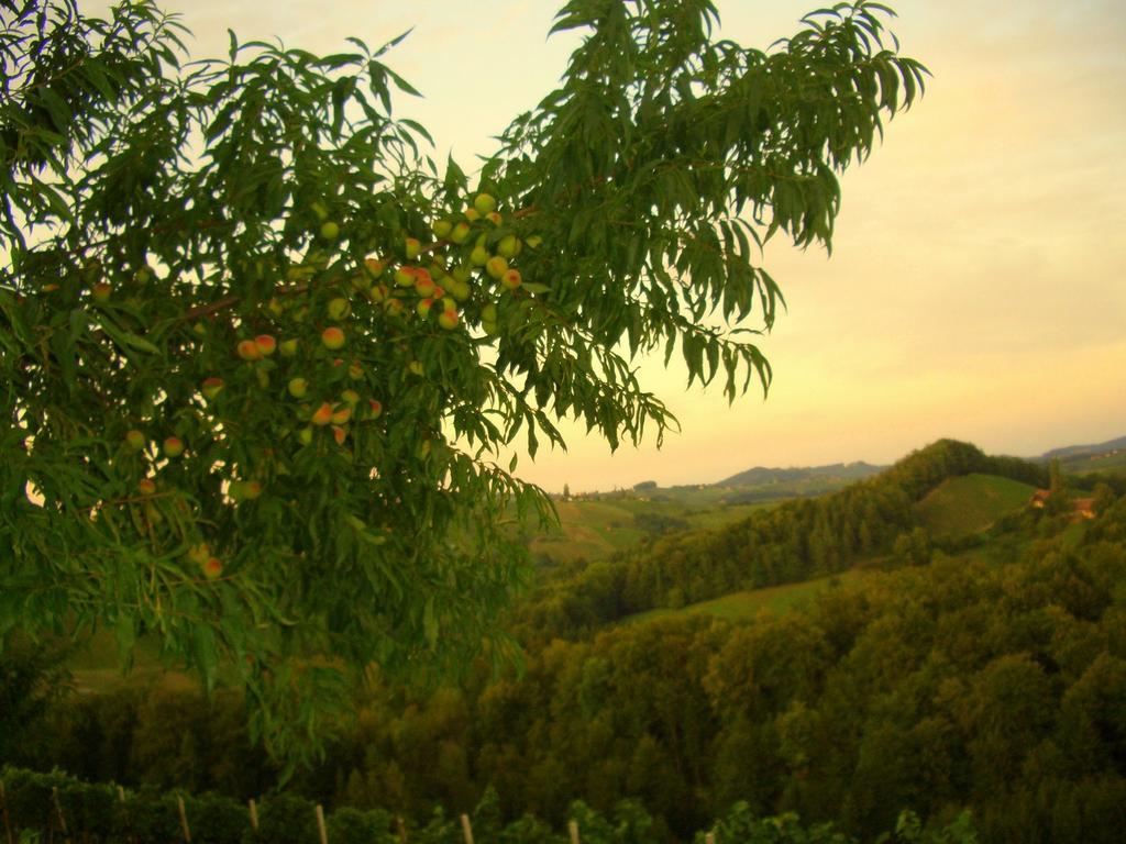 Weingut- Gaestezimmer Marko Leutschach Ngoại thất bức ảnh