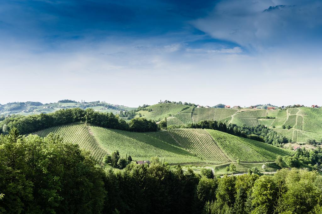 Weingut- Gaestezimmer Marko Leutschach Ngoại thất bức ảnh