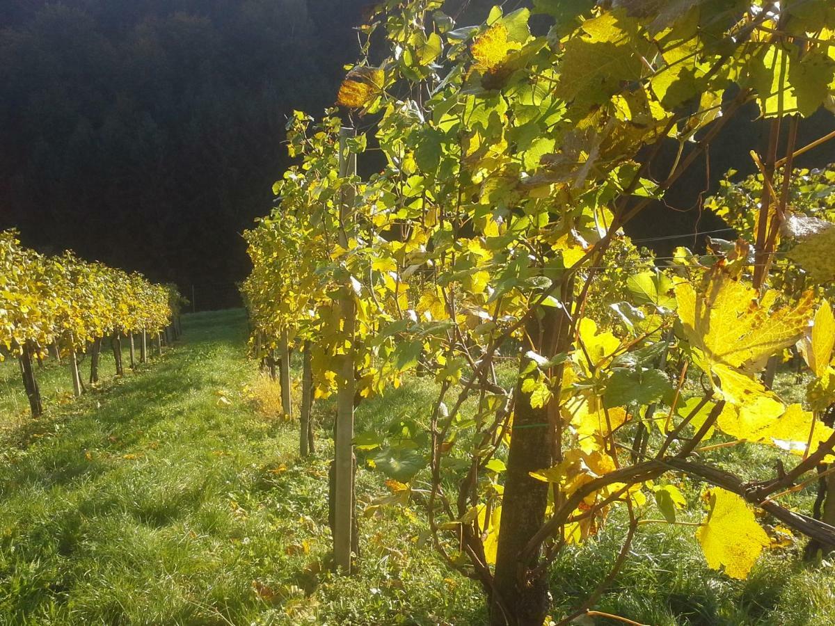 Weingut- Gaestezimmer Marko Leutschach Ngoại thất bức ảnh